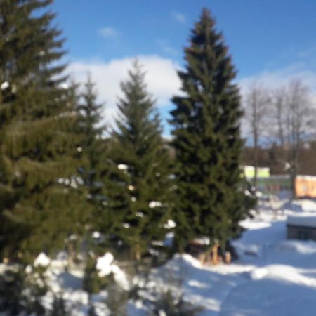 Boutique Apartment Petra Harrachov Εξωτερικό φωτογραφία